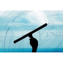 NETTOYAGE DE VITRES