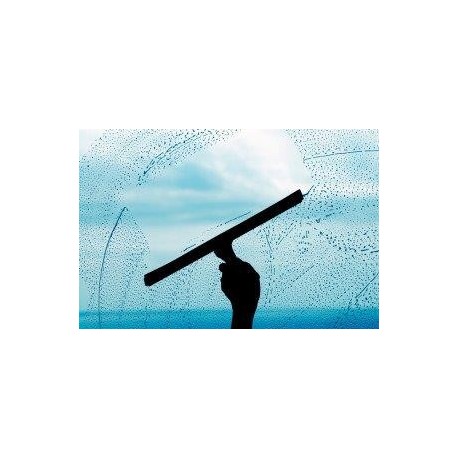 NETTOYAGE DE VITRES