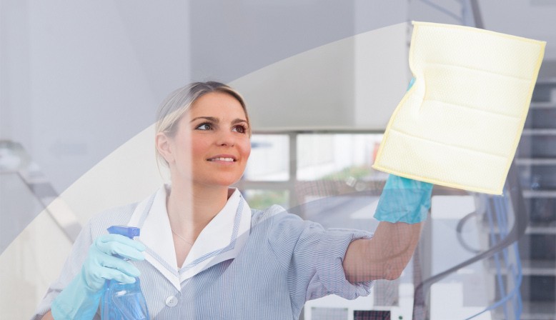 NETTOYAGES DE VITRES